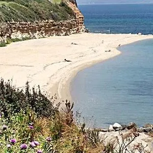 https://fani-liakou.hotelschalkidiki.net